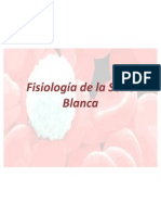 Glóbulos Blancos-Hematología