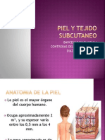 La piel: estructura, funciones y lesiones básicas