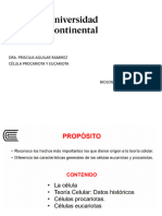 Continental Clase 5 - La Celula 2020I - Priscilia Aguilar