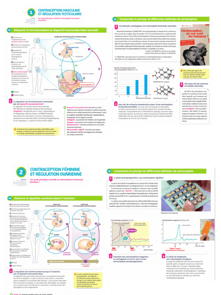 Contraception | PDF