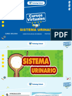 sistema urinario humano   sec