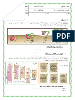 Dzexams 1as Sciences TCST - d1 20211 3649267