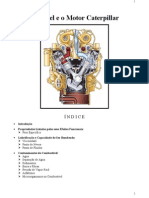 O Diesel e o Motor Caterpillar