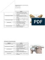 Lista de Ligamentos Del MMSS