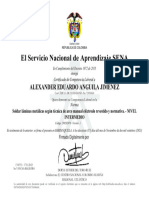 Certificado de Alexander Anguila