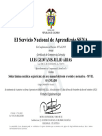 Certificado de Luis Julio