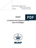 Ensayo Del Ser Humano Como Especie Biologica