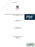 Informe Mejora de Productos y Procesos Con La Incorporación de Tic