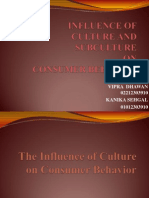 Culture & Subculture