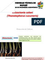 Rizoctonia-Thanatephorus Cucumeris