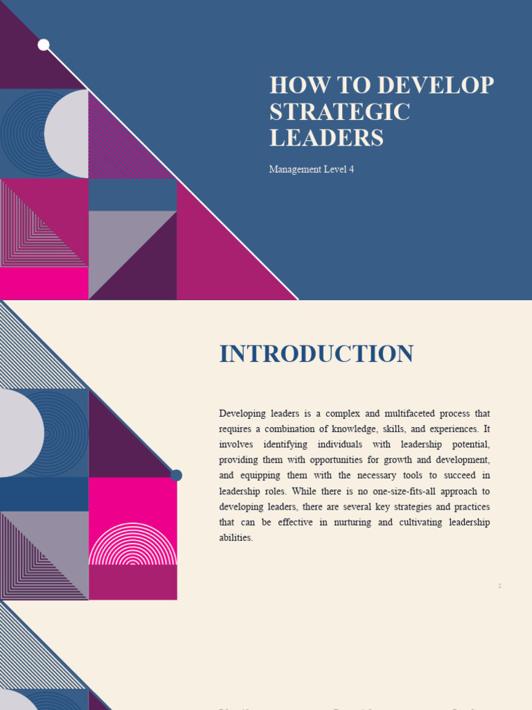 Strategic Leadership Development Guide | PDF | Leadership | Mentorship