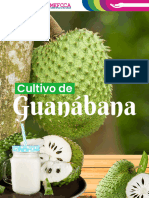 Muy Bnien Manual de Guambana