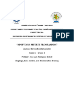 Apoptosis - Saydalee Moreno - 4°4 - Reporte de Investigación
