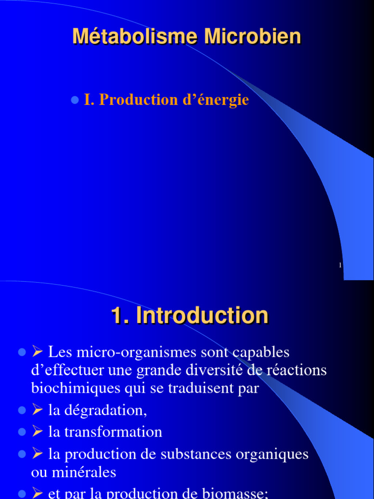 Métabolisme Microbien : Production d'Énergie | PDF | Fermentation ...