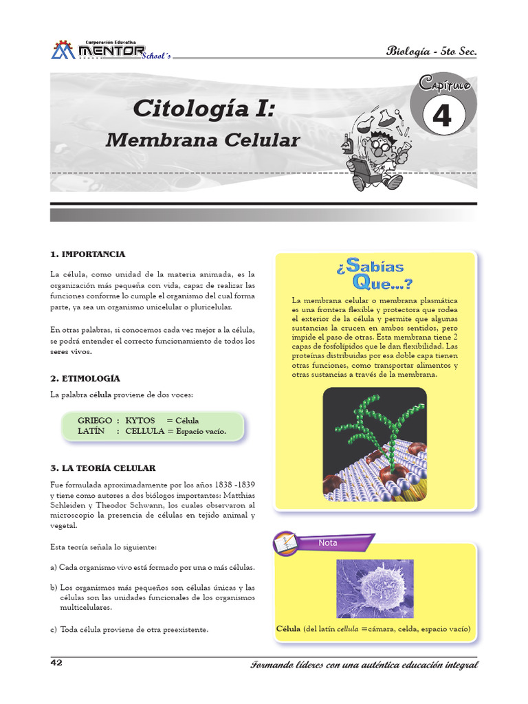 Estructura y Funciones de la Célula | PDF | Membrana celular | Citoplasma