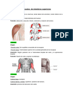 Músculos de Miembros Superiores