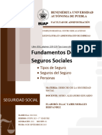 Fundamentos Seguros Sociales