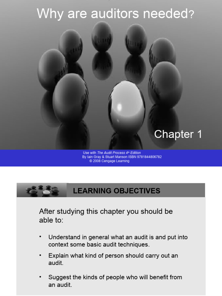 The Audit Process 4th Edition | PDF | Audit | Financial Audit