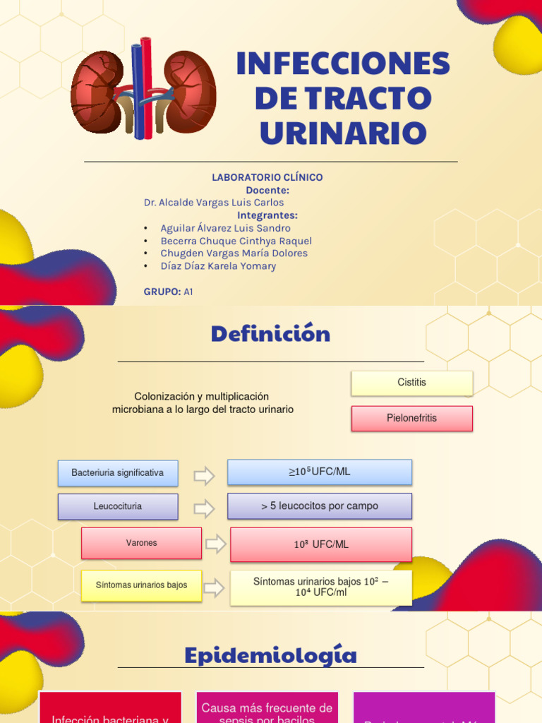 Diapositivas Infecciones Del Tracto Urinario Grupo A1 Pdf Infección