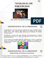 Psicopatologia de La Percepcion - Upt-2024