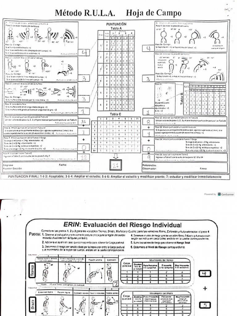 método RULA y ERIN ( aseadores) | PDF