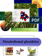 Metabolismul Glucidelor 
