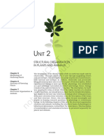 Morphology of Plant NCERT