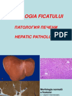 Patologia ficatului