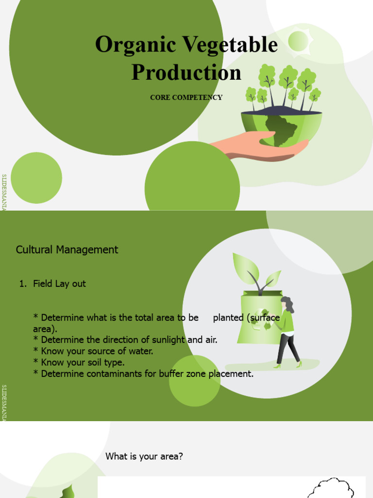 Organic Vegetable Production Guide | PDF | Area | Elementary Geometry