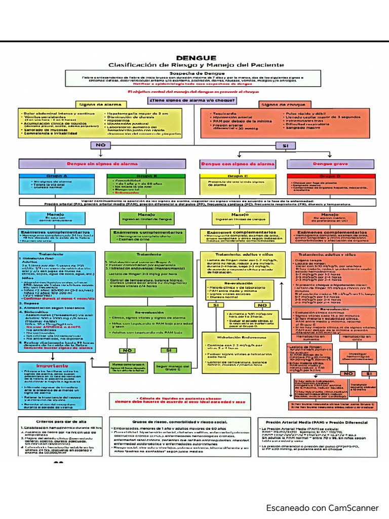 Algoritmo Del Dengue. | PDF