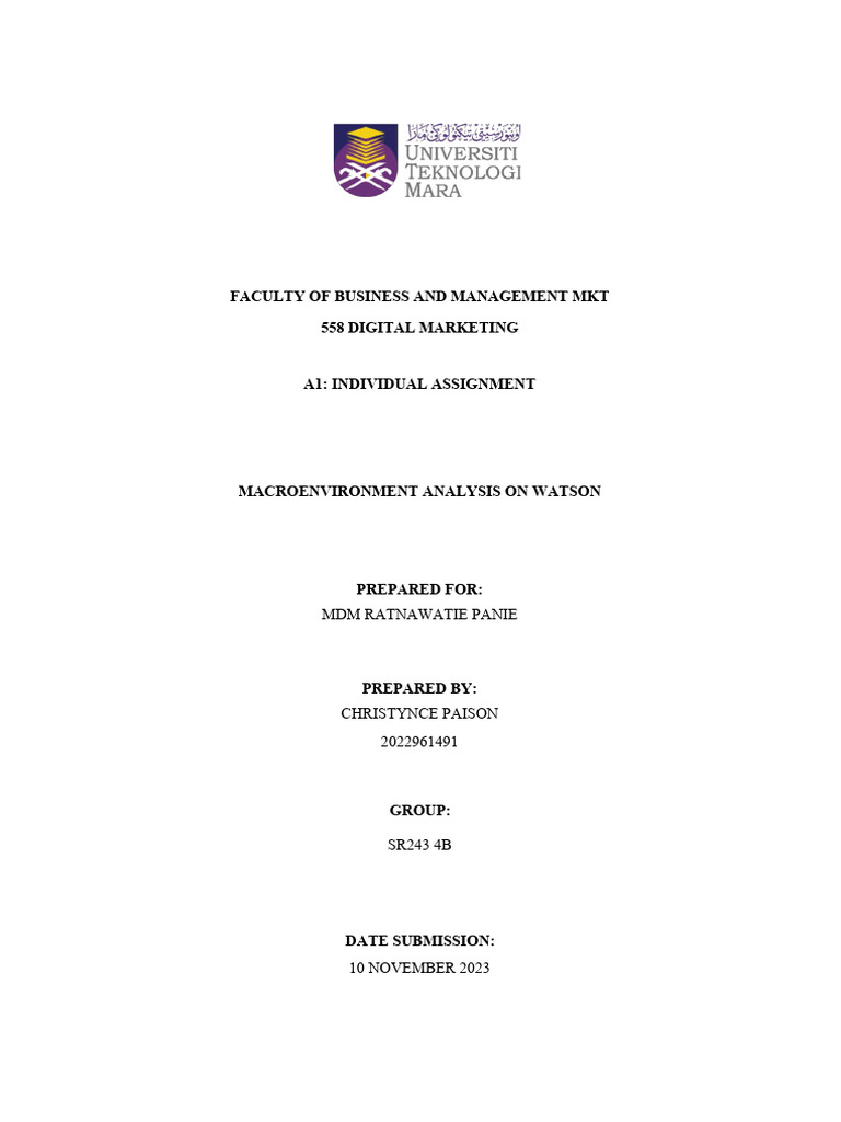 MKT 558 Individual Assignment | PDF | Brand | Product (Business)