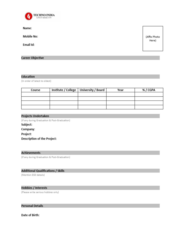Sample Technical Cv Pdf