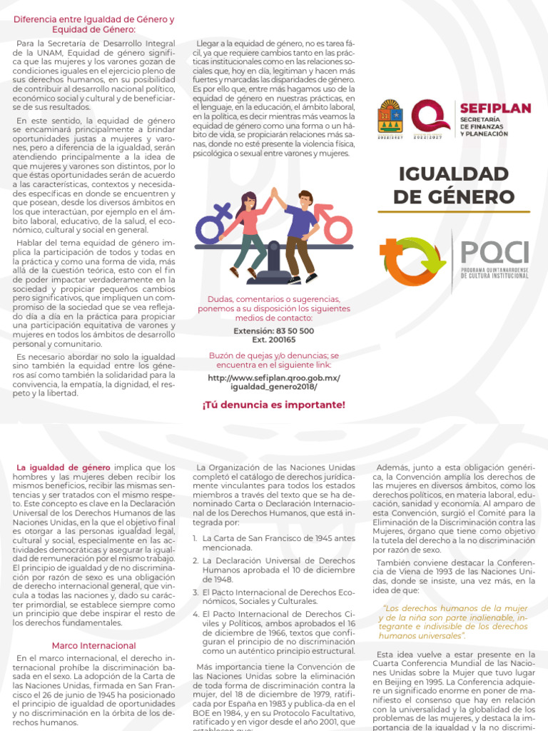 Igualdad de Genero | PDF | Igualdad de género | Estudios de género