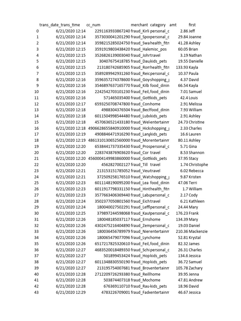 Fraudulent Transactions Report | PDF