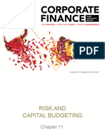 L11 Risk and Capital Budgeting