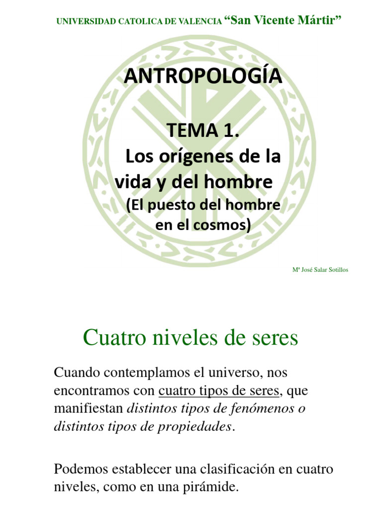Niveles de Seres y Conciencia Humana | PDF | Humano | Vida