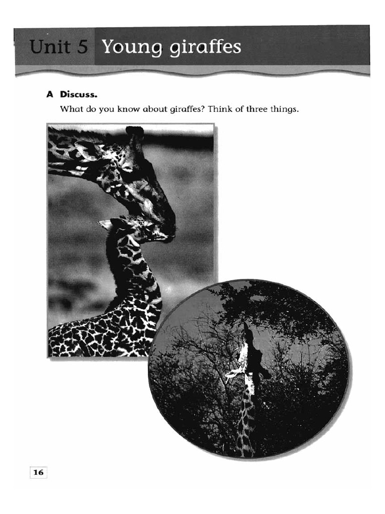 Reading visual data 5