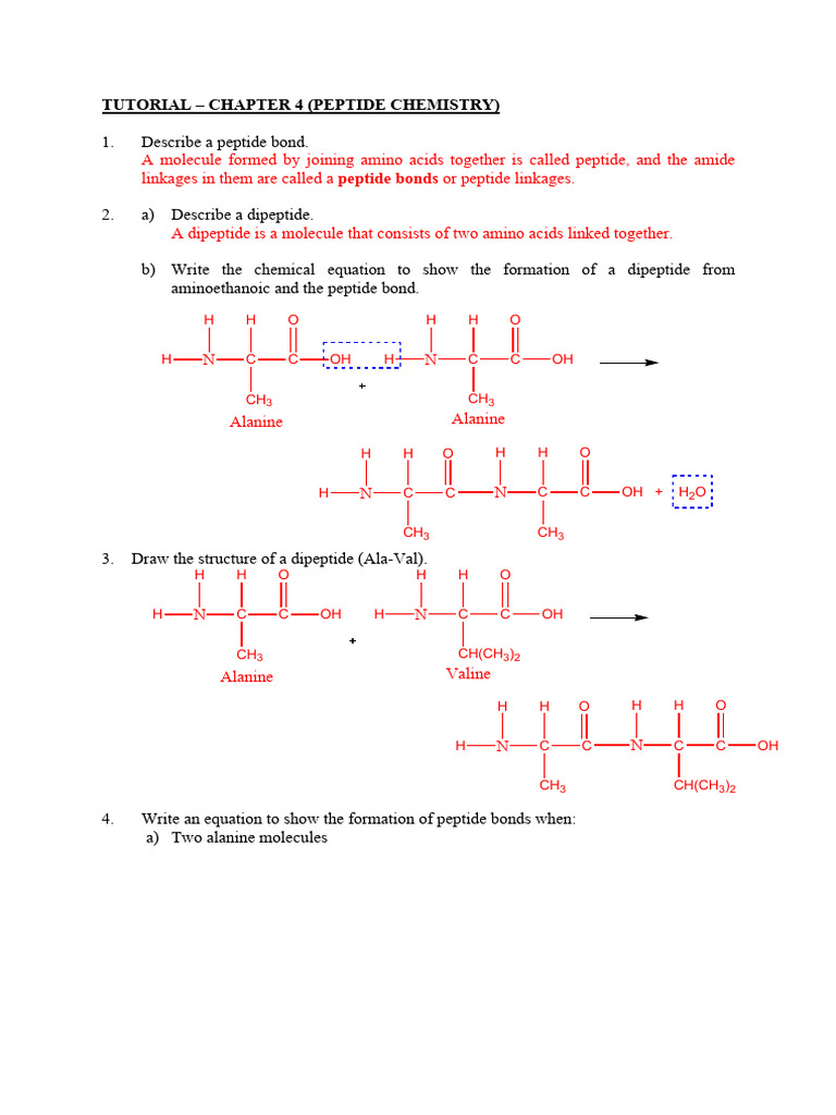 Tutorial 4 peptide chemistry answer pdf alanine amino acid