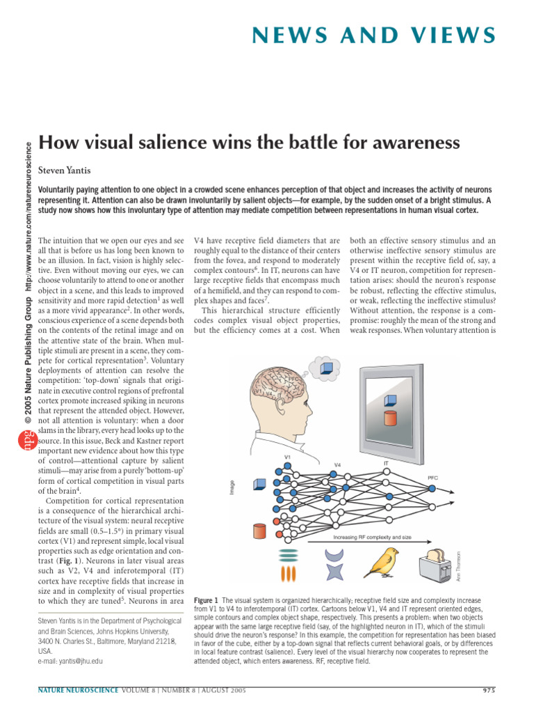 Article Identical Stimuli Stronger Mutual Inhibition 2005 | PDF ...