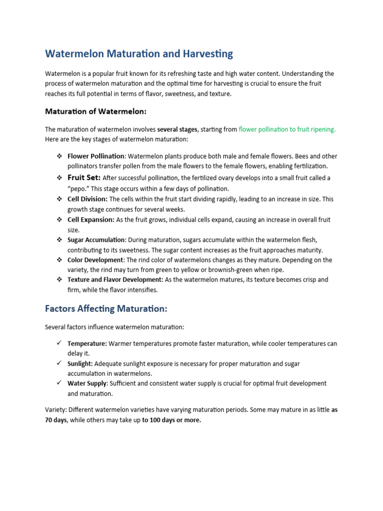 Watermelon Maturity and Harvesting Guide | PDF | Watermelon | Fruit