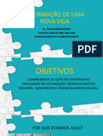 Slides. A formação de uma nova vida