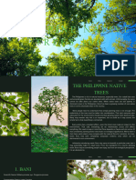 Philippine Native Trees 101 (2)
