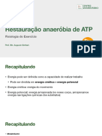 Aula 3 - Restauração Anaeróbia de ATP