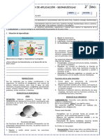 Ficha de Actividad - Biomoléculas