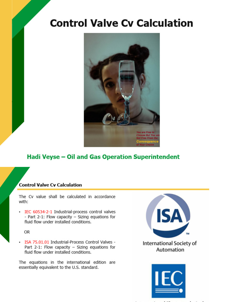 Control Valve Cv Calculation Guidelines | PDF | Valve | Lift (Force)