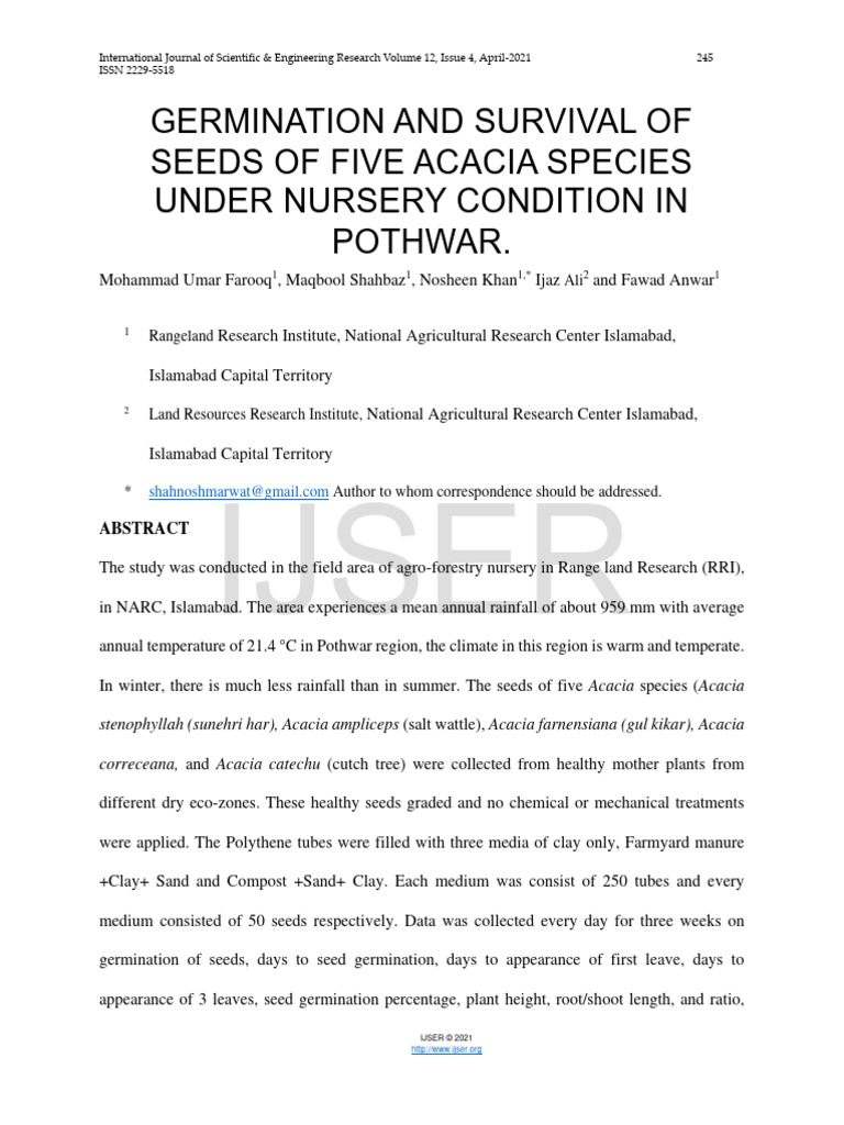 Acacia Ampliceps A Pdf Seed Soil