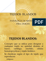 Tejidos Blandos