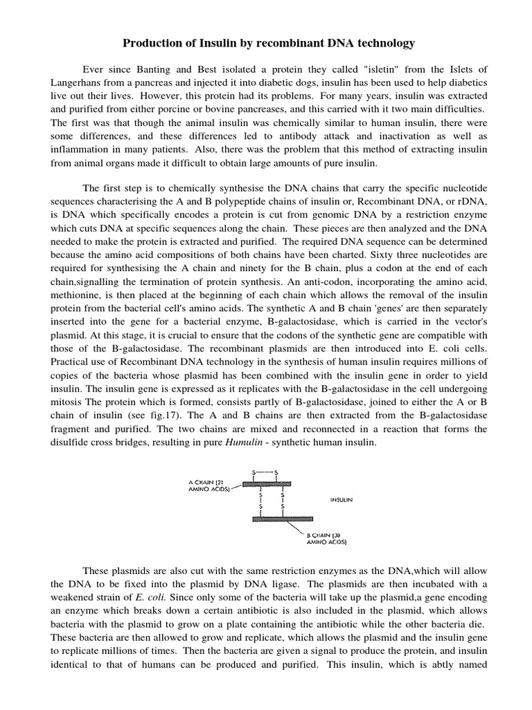 Production of Insulin & HGG by DNA Technology PDF Gene