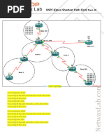 NXLD43 OSPF (Open Shortest Path First) Part - III