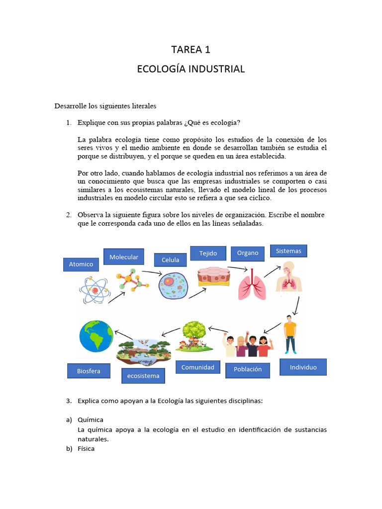 Tarea 1 | PDF | Ecología | Ecosistema